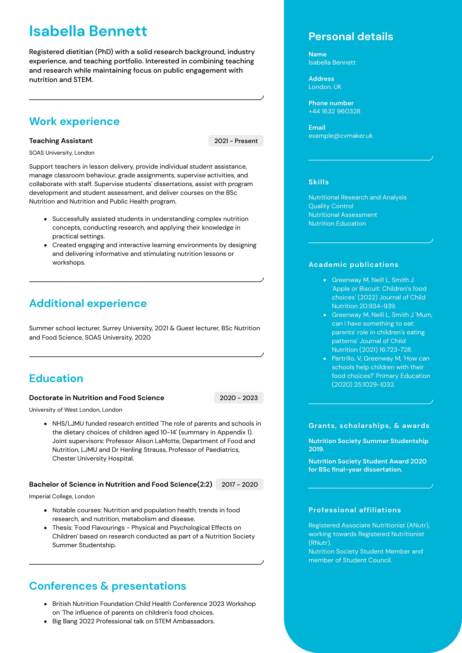 Academic CV Guide Template And Examples