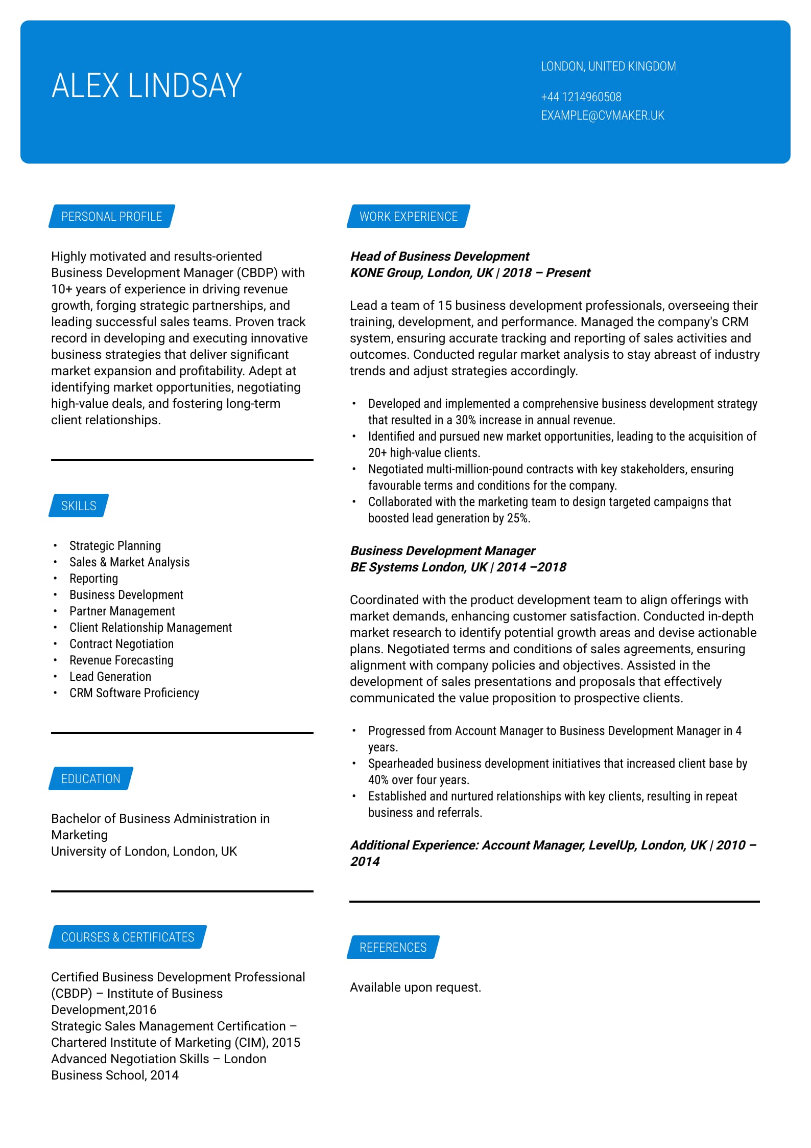 Business Development CV sample