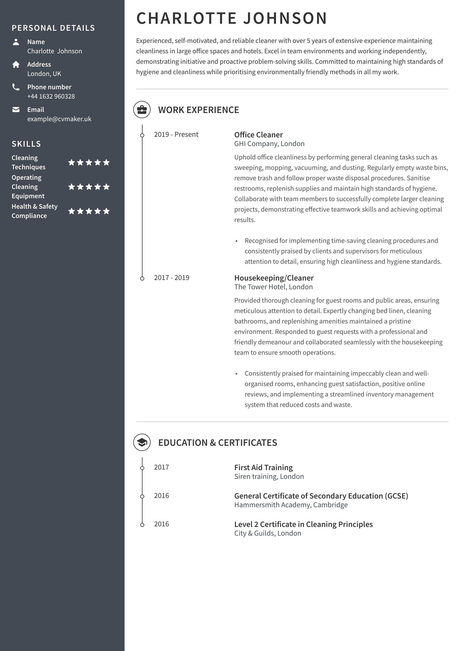 Cleaner CV example