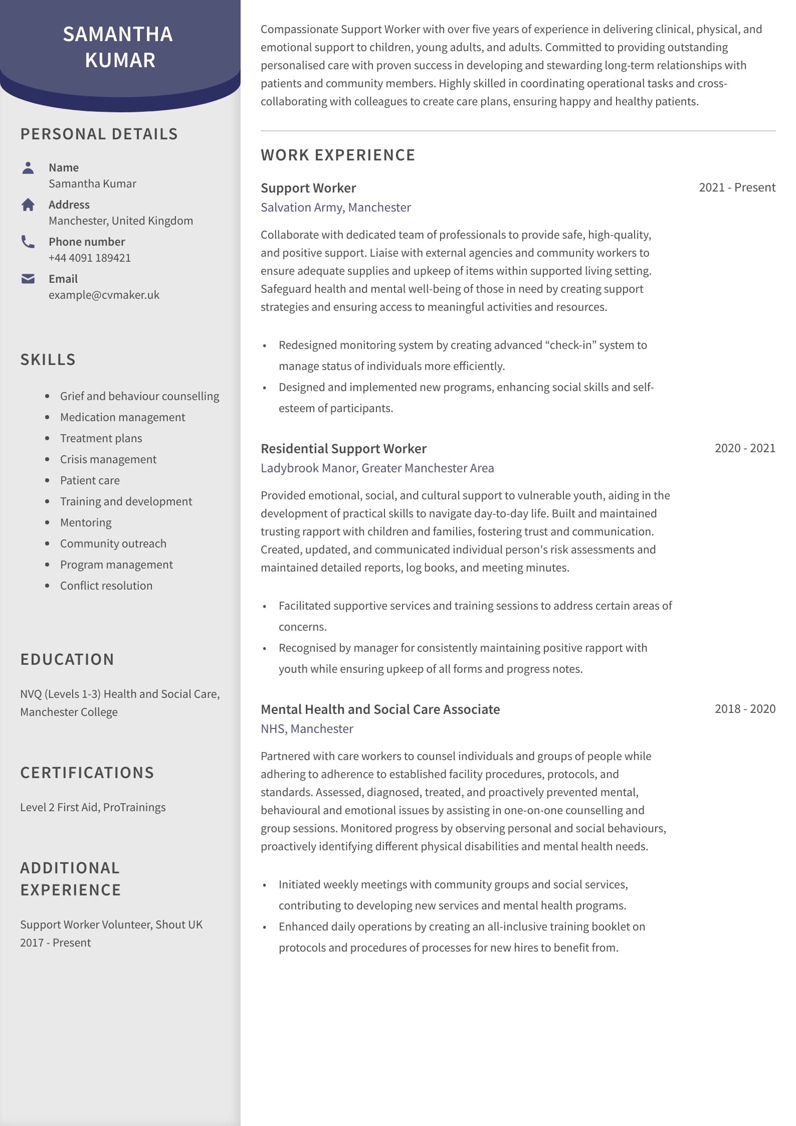 Best Professional CV Examples For Jobs In The UK In 2023