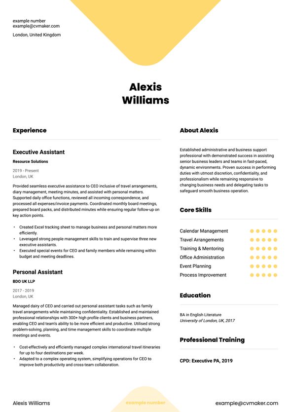 Light experience CV