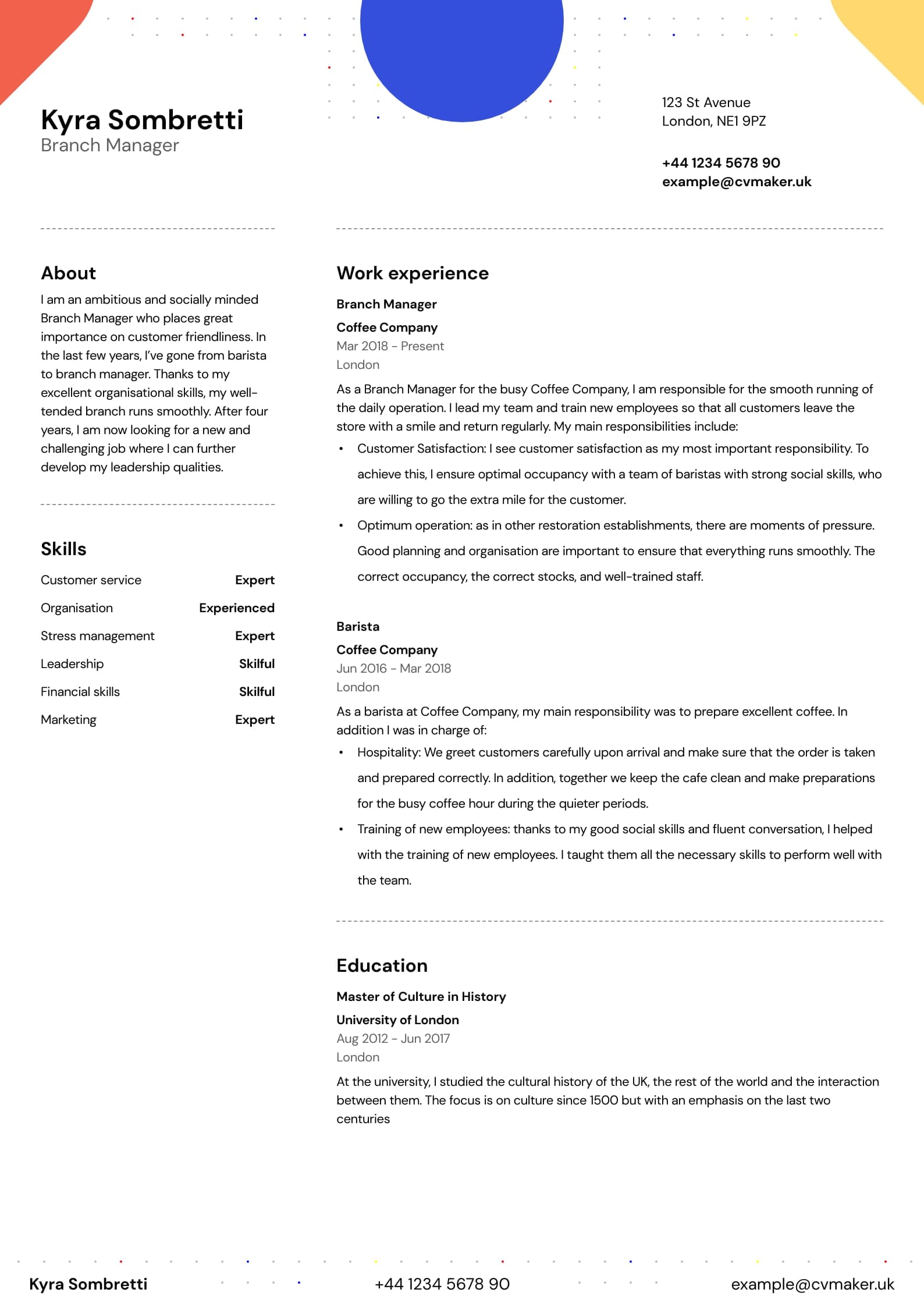 excellent cv template